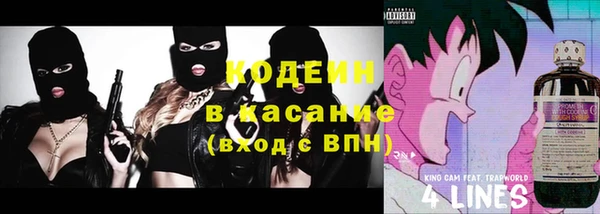 гашик Осташков
