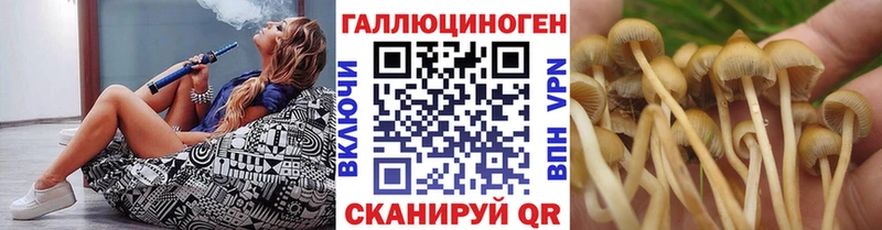 Псилоцибиновые грибы Magic Shrooms  Северо-Курильск 